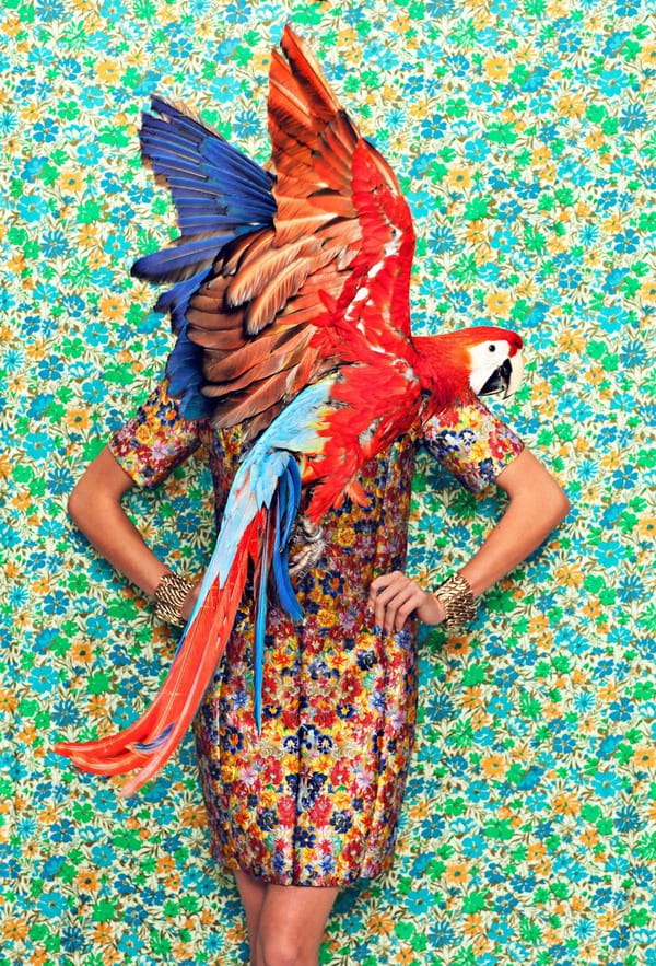 Juco: Освободете се от очакванията, за да може да видите красотата на неочакваното!